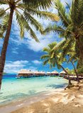 Nathan - Plage De Bora-Bora, Polynésie Française