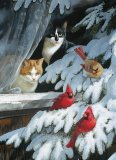 Bird Watchers