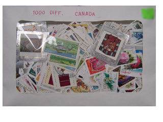 Canada 1000 Diff.