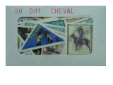 Cheval 50 Diff.