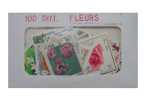 Fleurs 100 Diff.