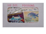 Poissons 100 Diff.