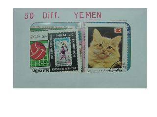 Yemen 50 Diff.