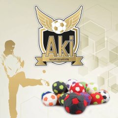 Aki 32 Panneaux de Compétition